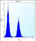 hGCN5 Antibody (C-term)
